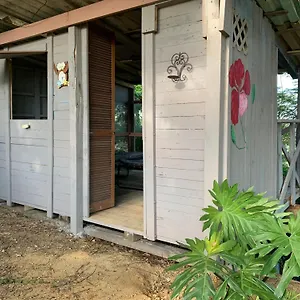 https://mi-casa-eco-camping.top-hotels-puertorico.com
