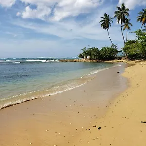 https://beach-villas-dorado-puerto-rico.top-hotels-puertorico.com